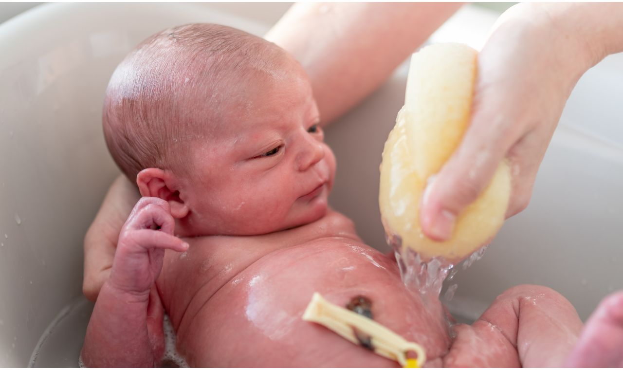 Cordão Umbilical