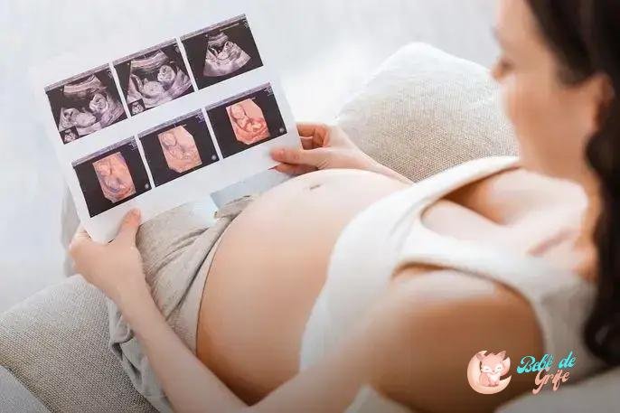 Semanas de gravidez: como o bebê se desenvolve semana a semana