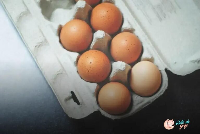 Alimentos Ricos em Cálcio para Crianças