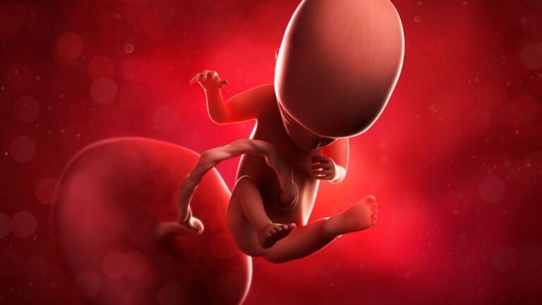 Desenvolvimento do bebe 22 semanas de gestacao: o que esperar nesta fase