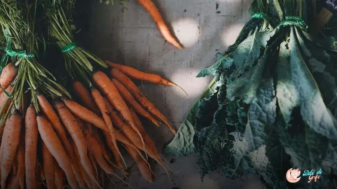 benefícios dos alimentos ricos em ômega-3 para o cérebro