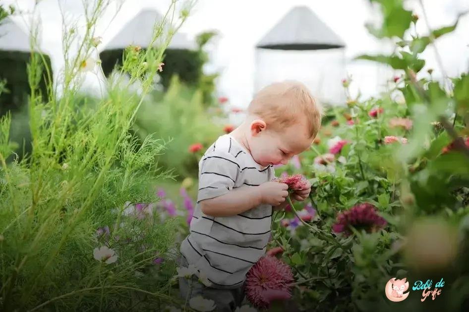 Como introduzir a alimentação vegetariana na alimentação do bebê? Como introduzir a alimentação vegetariana na alimentação do bebê?