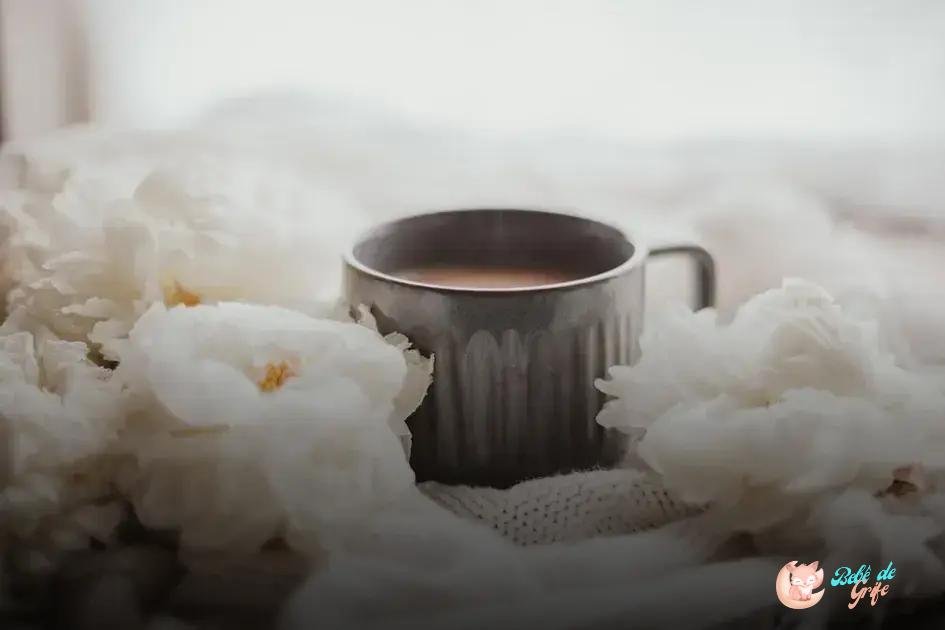 O que evitar no café da manhã das crianças? O que evitar no café da manhã das crianças?