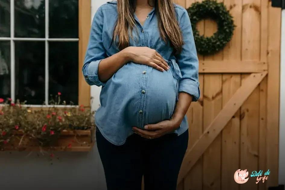 Fertilidade Pós-Parto