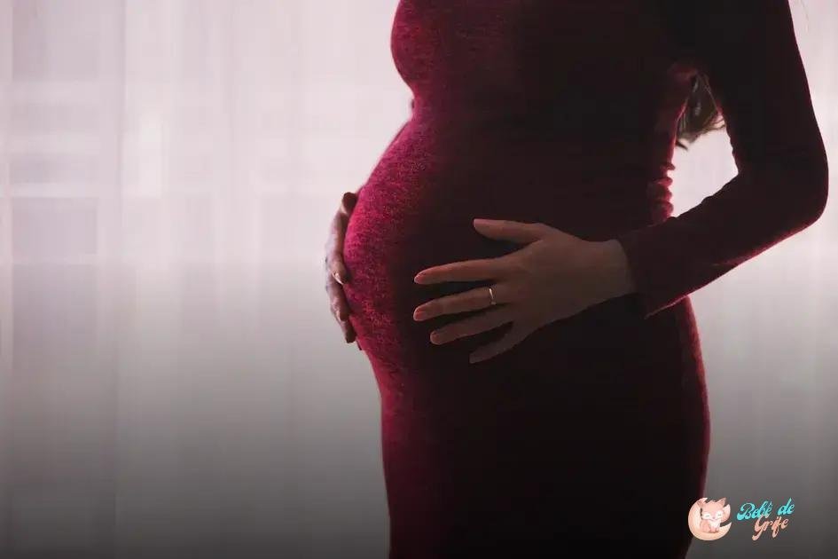 Relação Sexual na Gravidez e Pós-Parto: Mitos e Realidades (Sexo na Gravidez)